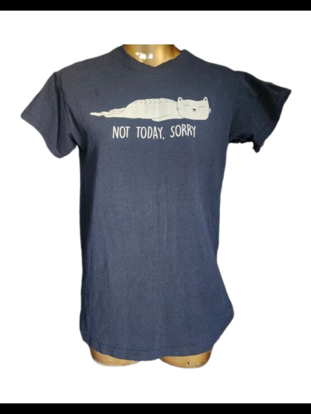 🍂3/$10🍂 "Not Today, Sorry" Lazy Cat Tee
